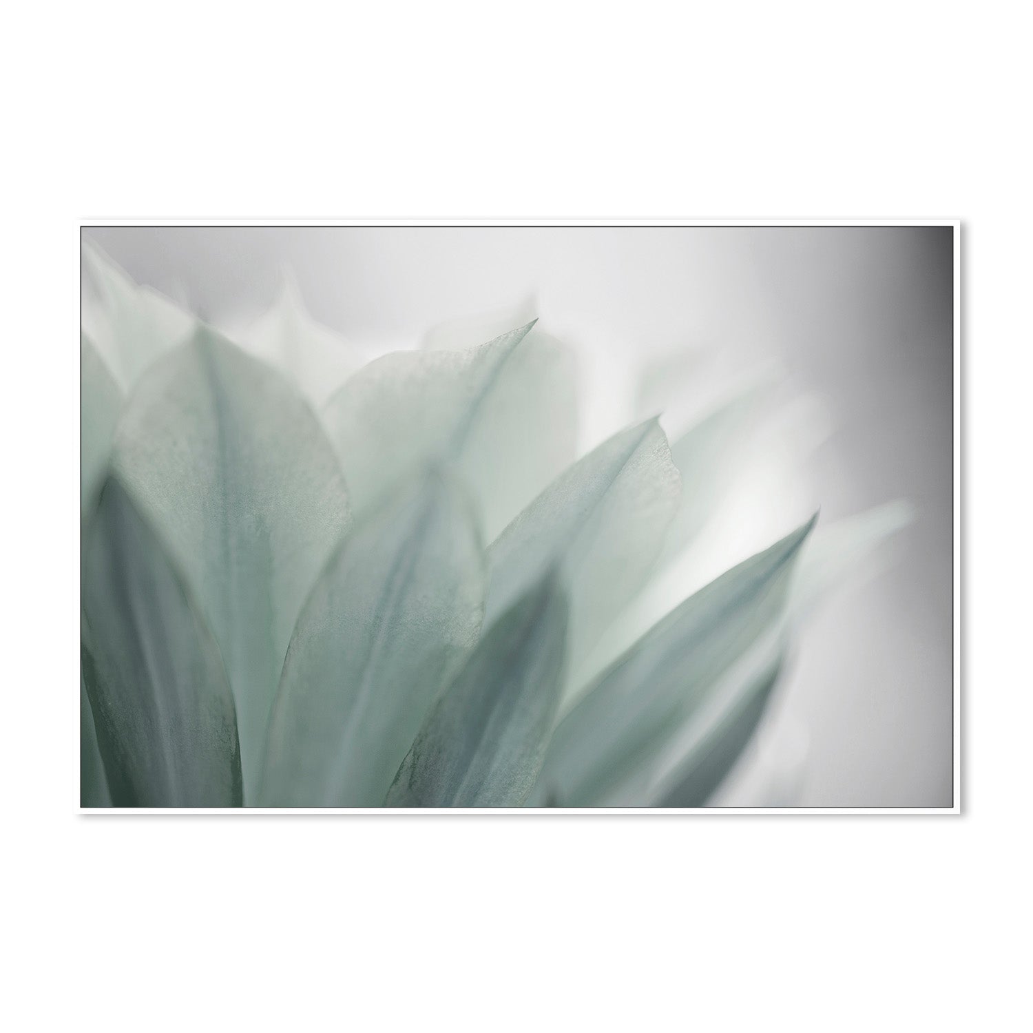 wall-art-print-canvas-poster-framed-Green Leaves Blooming , By Lily Mourier-5