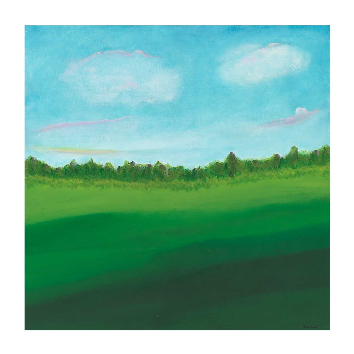 wall-art-print-canvas-poster-framed-Green Oasis , By Belinda Stone-GIOIA-WALL-ART