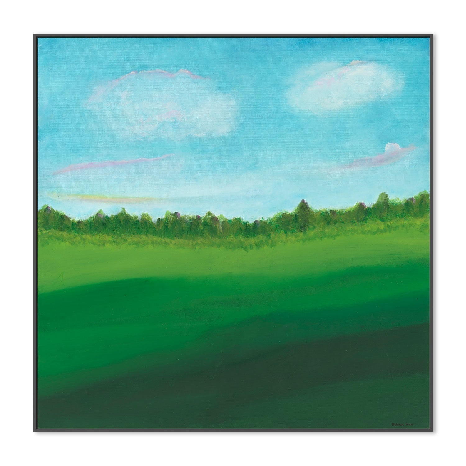 wall-art-print-canvas-poster-framed-Green Oasis , By Belinda Stone-GIOIA-WALL-ART