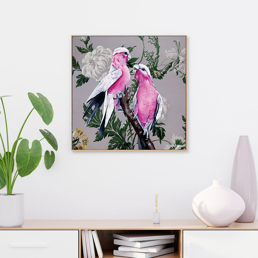 Grey Wallpaper Gallah
