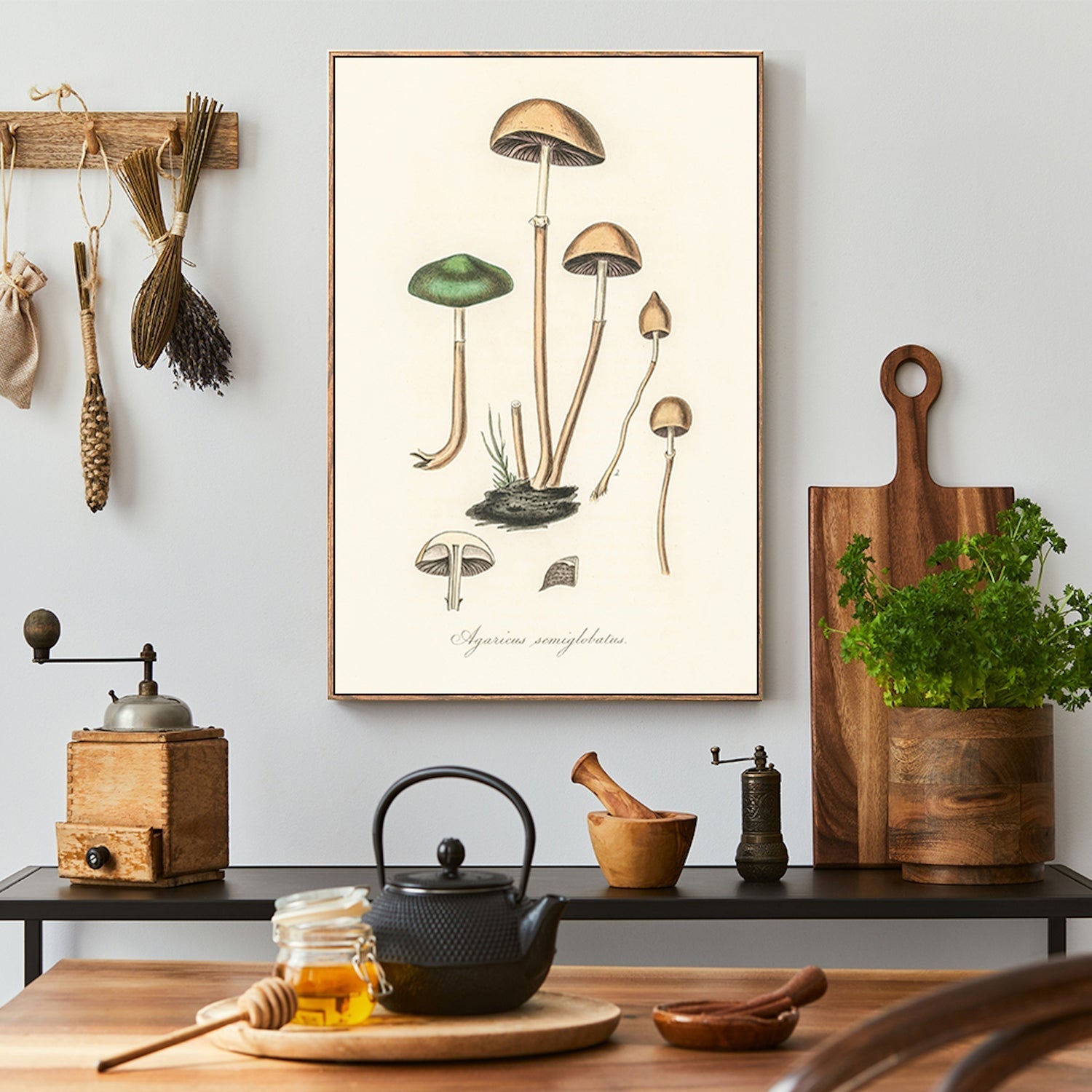 wall-art-print-canvas-poster-framed-Halfglobe Mushrooms-GIOIA-WALL-ART