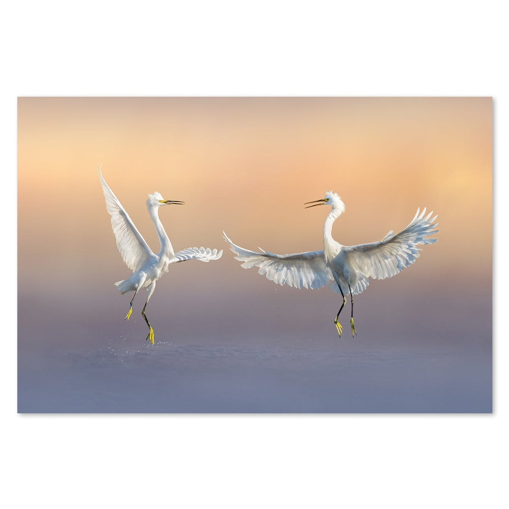 wall-art-print-canvas-poster-framed-Happily Forever, By Qing Zhao-by-Plus X Studio-Gioia Wall Art
