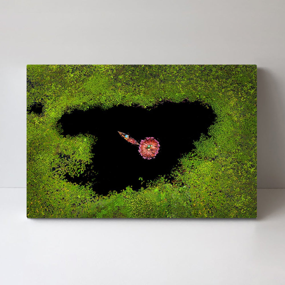 Harvesting Waterlily, by Sujon Adikary-Gioia-Prints-Framed-Canvas-Poster-GIOIA-WALL-ART