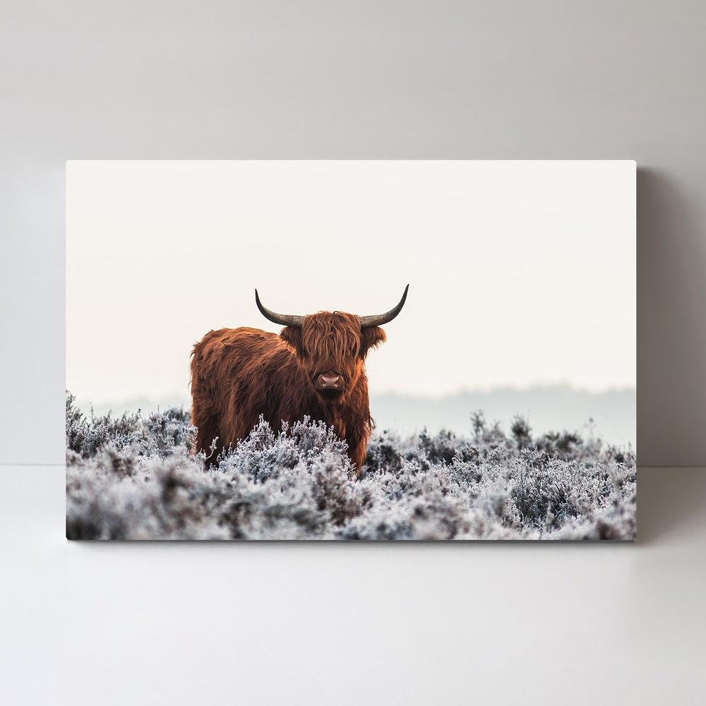 wall-art-print-canvas-poster-framed-Highlander, By Jaap Van Dem Helm-by-Plus X Studio-Gioia Wall Art