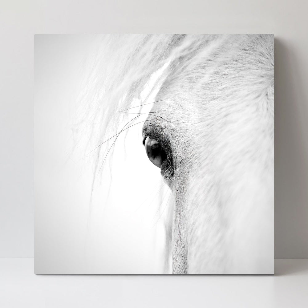wall-art-print-canvas-poster-framed-Horse Eye, By Alex Zhao-by-Plus X Studio-Gioia Wall Art