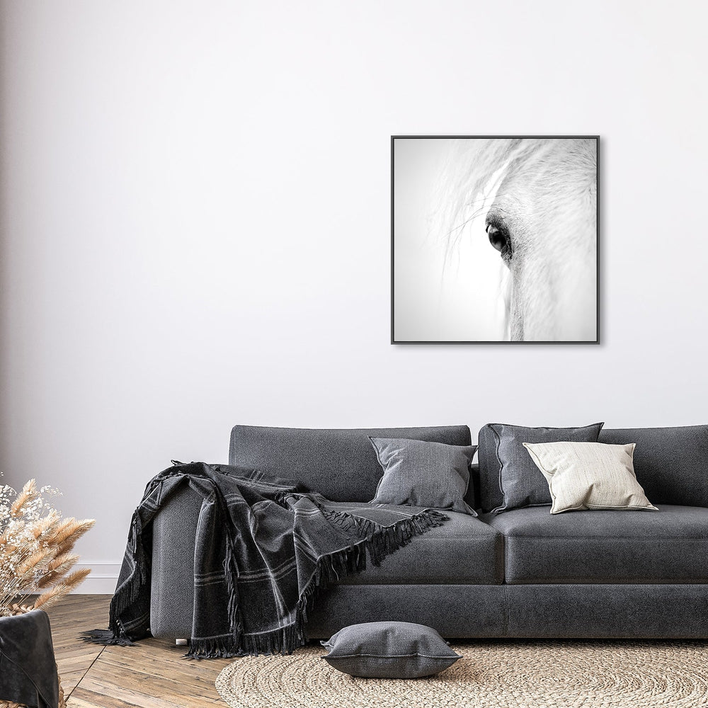 wall-art-print-canvas-poster-framed-Horse Eye, By Alex Zhao-by-Plus X Studio-Gioia Wall Art