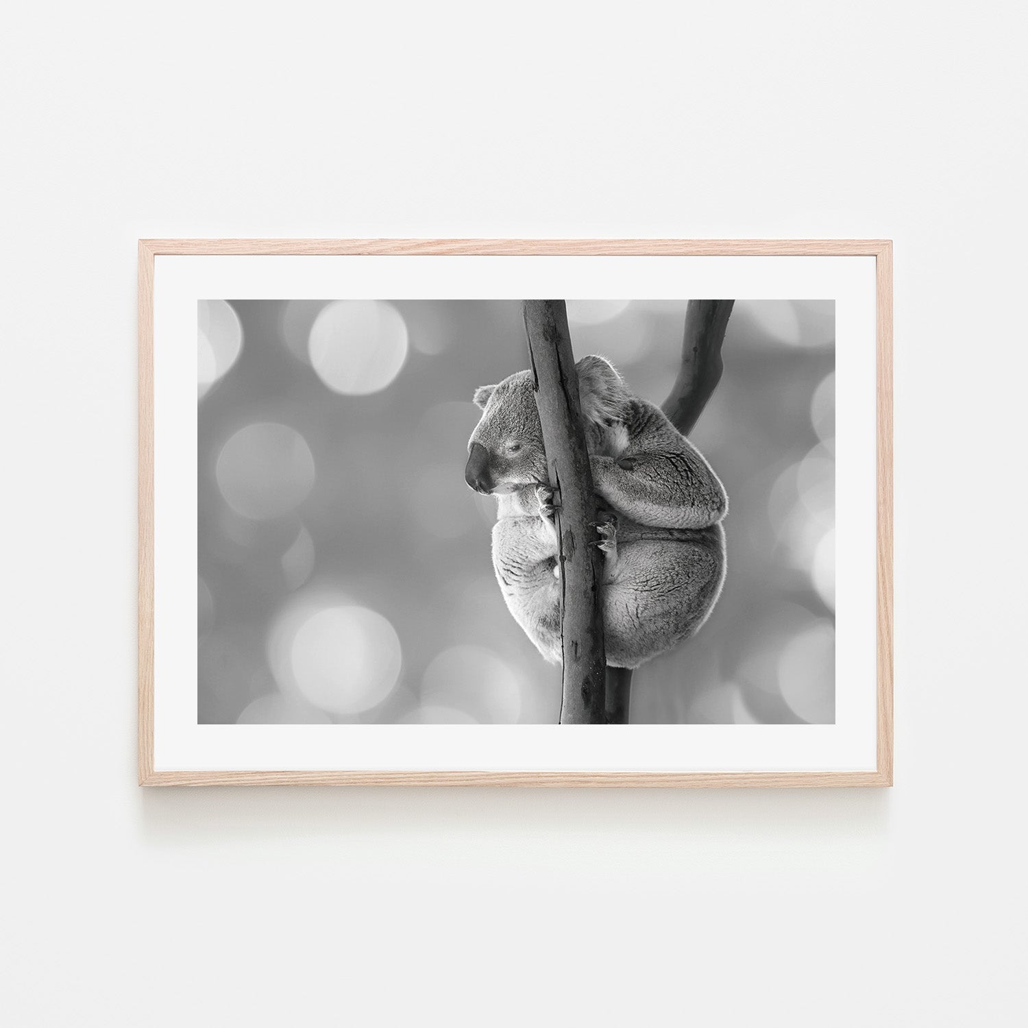 wall-art-print-canvas-poster-framed-Humphrey , By Belinda Gerace-6