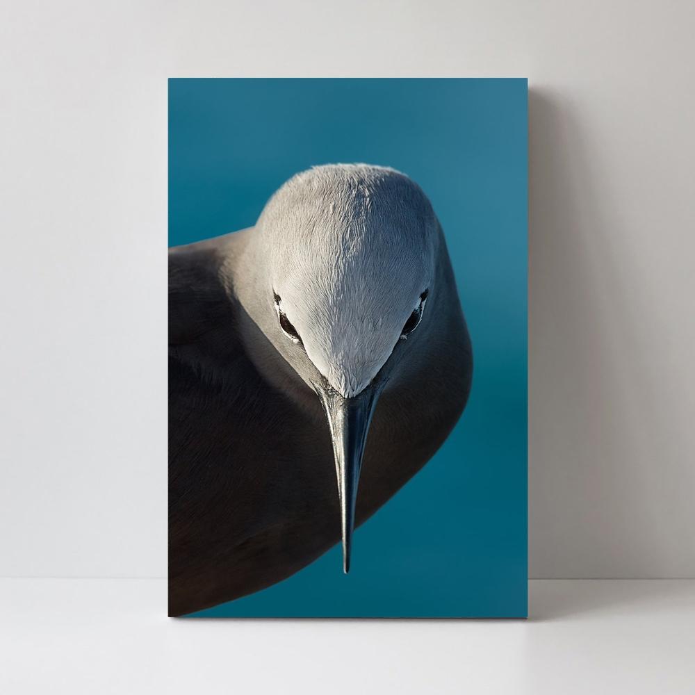 wall-art-print-canvas-poster-framed-I Bow, By Mathilde Guillemot-by-Plus X Studio-Gioia Wall Art