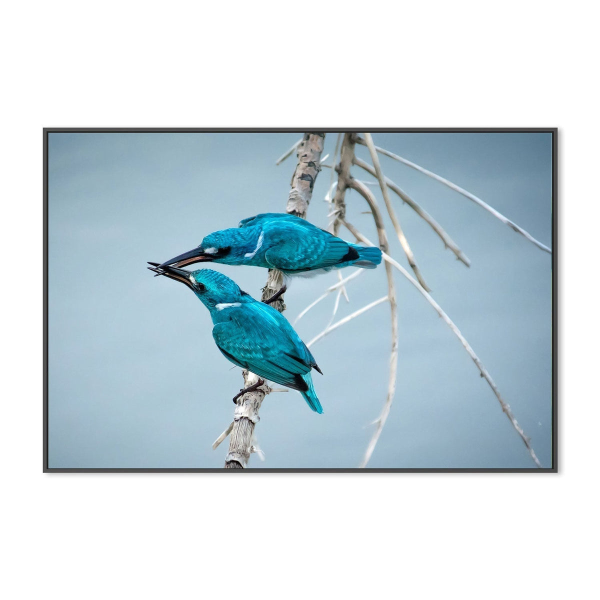 wall-art-print-canvas-poster-framed-I Love You So Much, by Arief Siswandhono-by-Plus X Studio-Gioia Wall Art