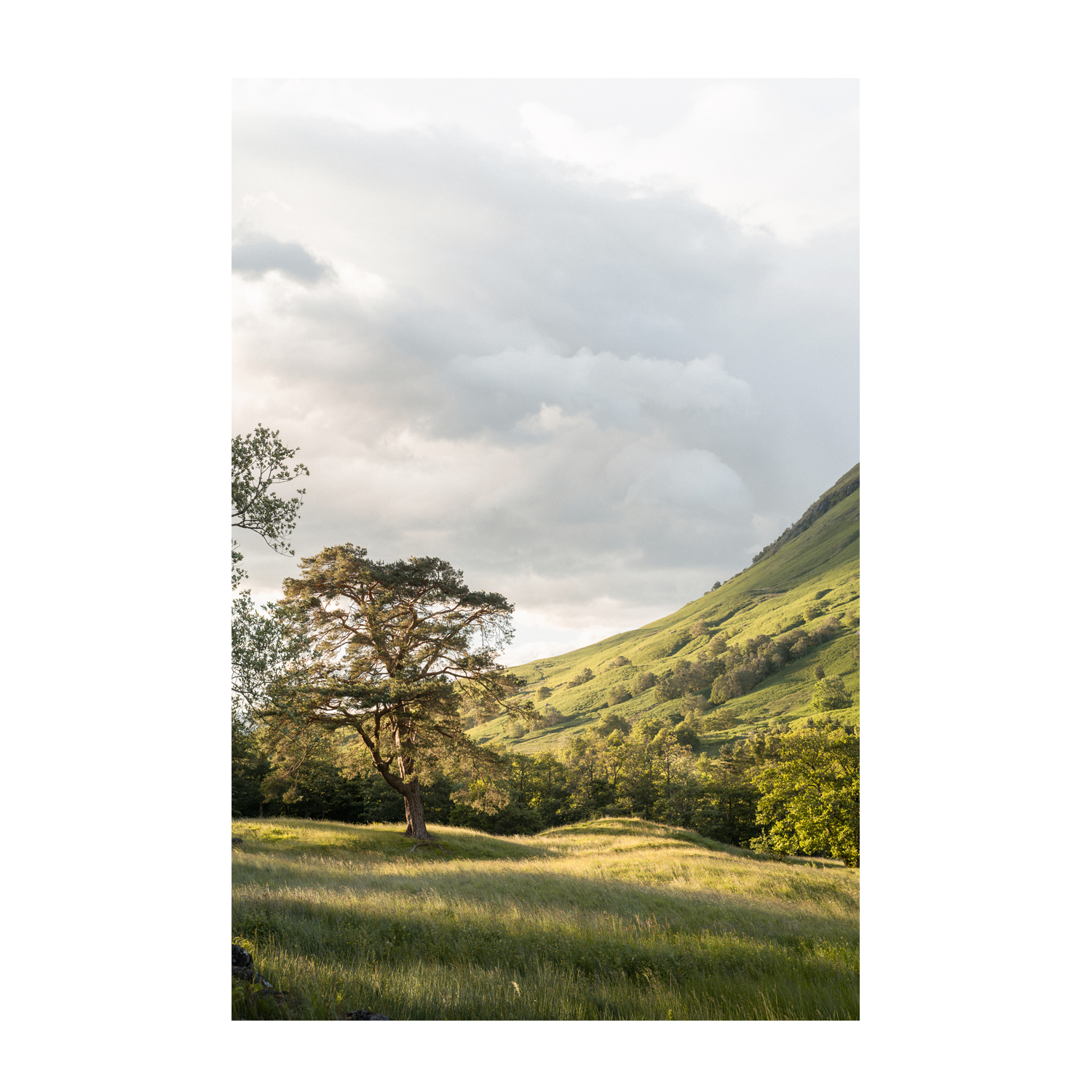 wall-art-print-canvas-poster-framed-Into the Highlands-1