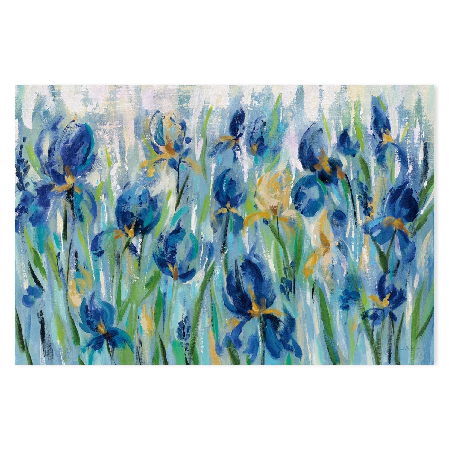 wall-art-print-canvas-poster-framed-Iris Flower Bed-by-Silvia Vassileva-Gioia Wall Art