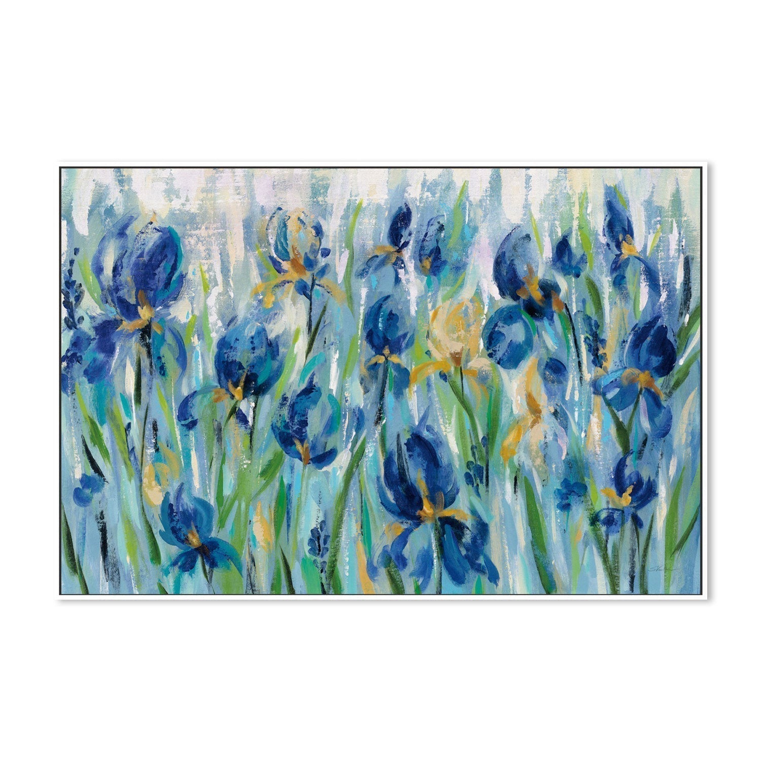 wall-art-print-canvas-poster-framed-Iris Flower Bed-by-Silvia Vassileva-Gioia Wall Art