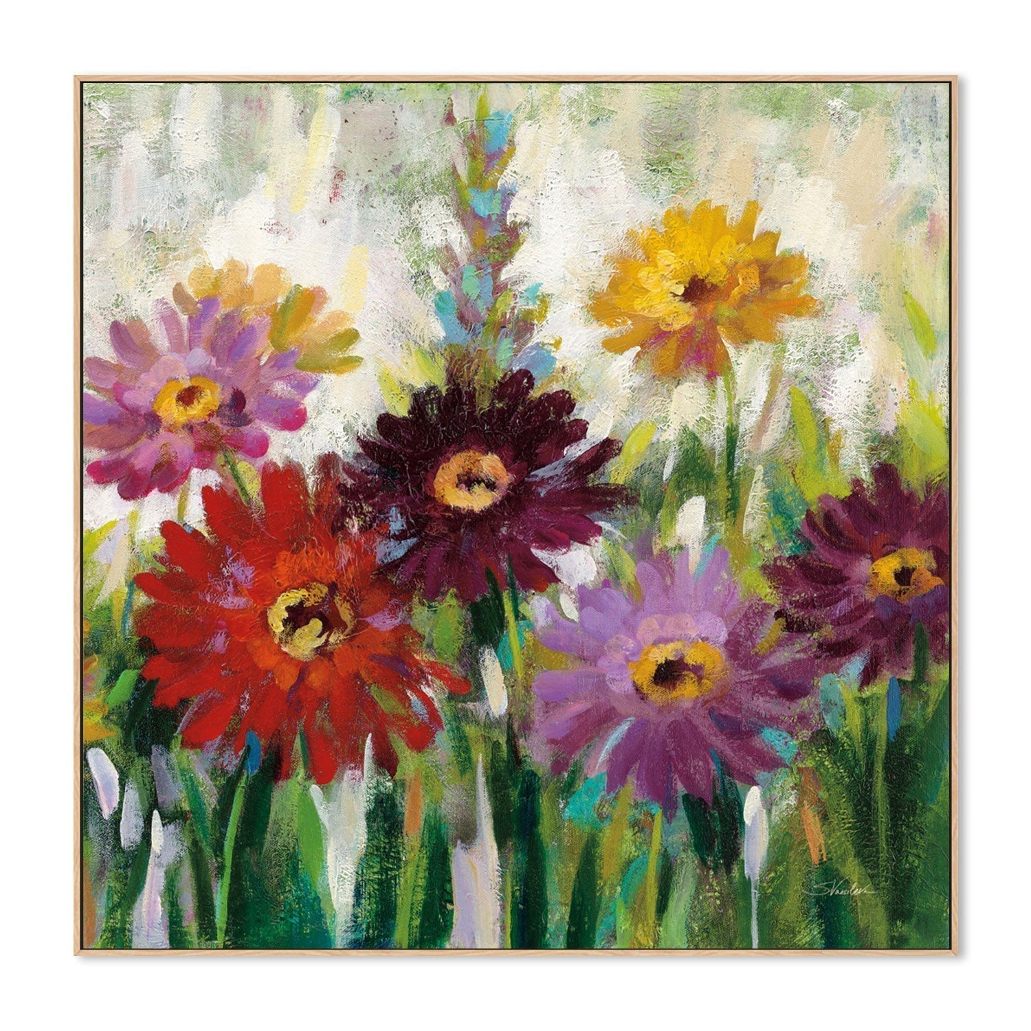 wall-art-print-canvas-poster-framed-Jewel Daisy Gerbera, Style C-by-Silvia Vassileva-Gioia Wall Art