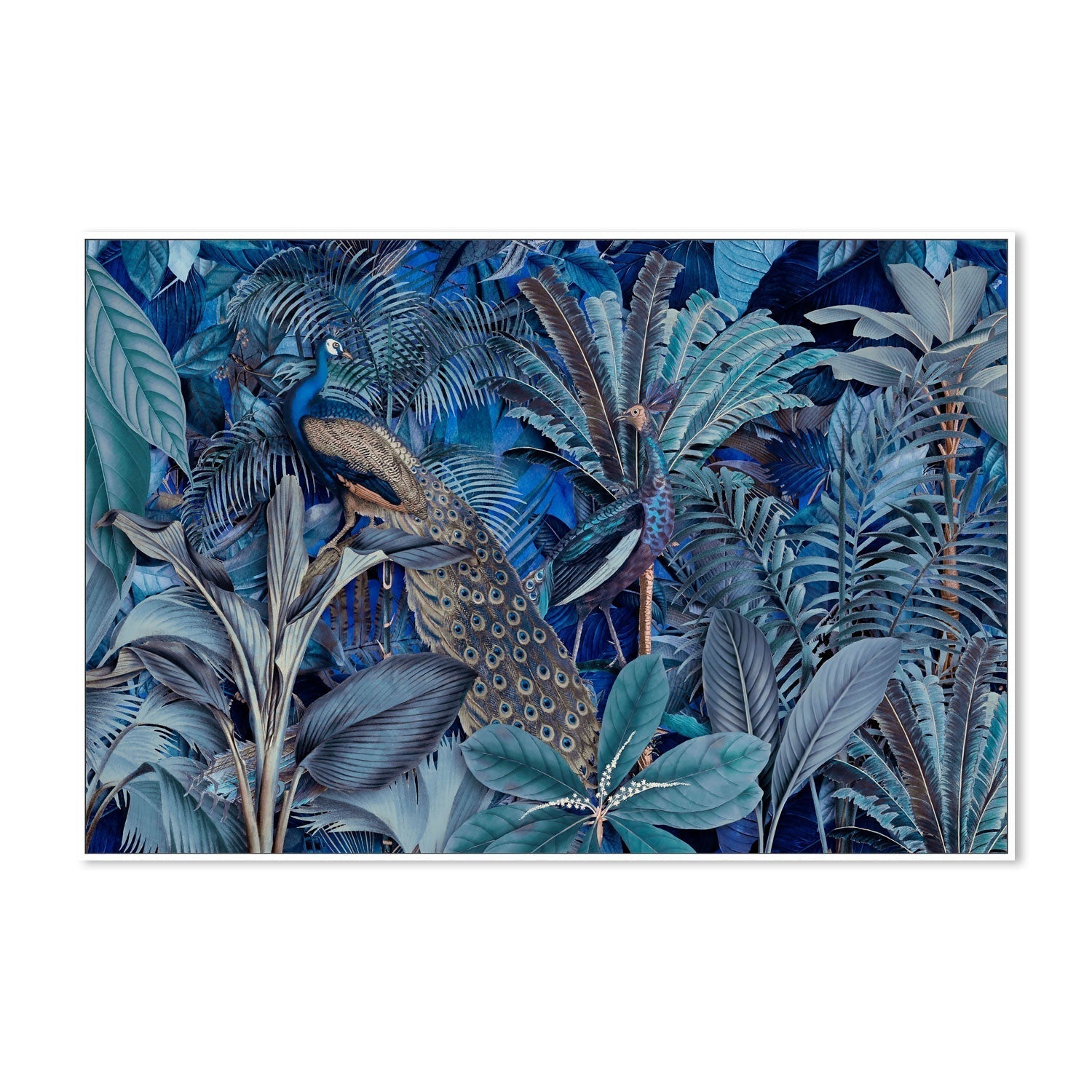 wall-art-print-canvas-poster-framed-Jungle Birds In Blue, By Andrea Haase-GIOIA-WALL-ART