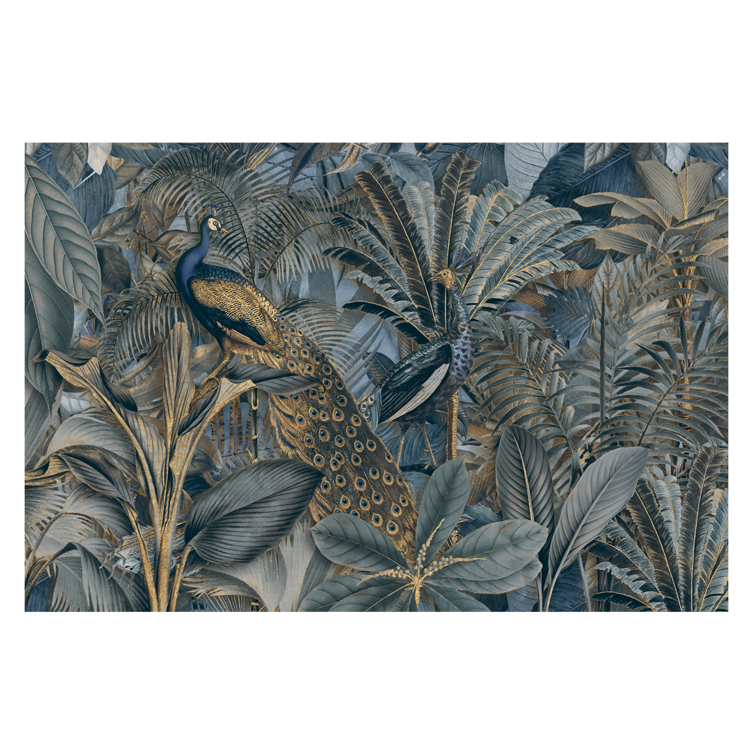 wall-art-print-canvas-poster-framed-Jungle Birds In Gold, By Andrea Haase-GIOIA-WALL-ART