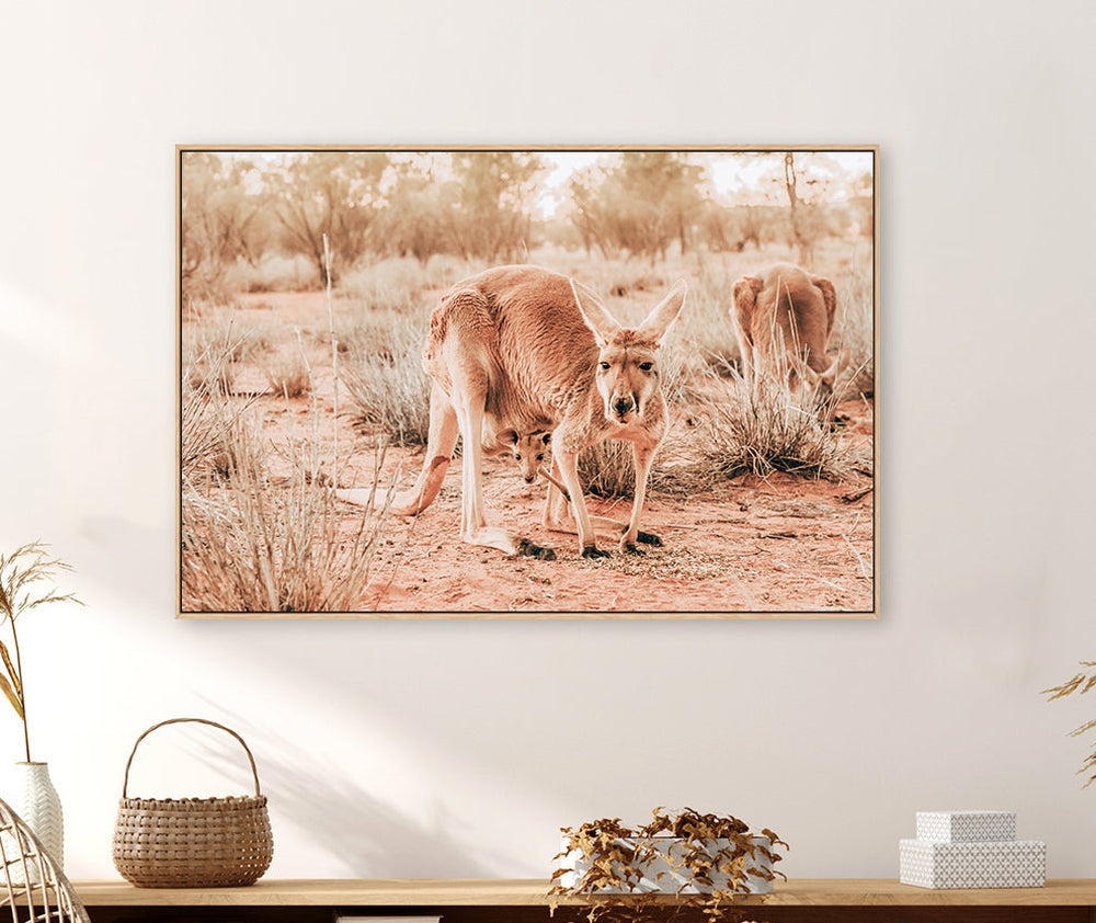 wall-art-print-canvas-poster-framed-Kangaroo And Joey, Western Australia-by-Gioia Wall Art-Gioia Wall Art