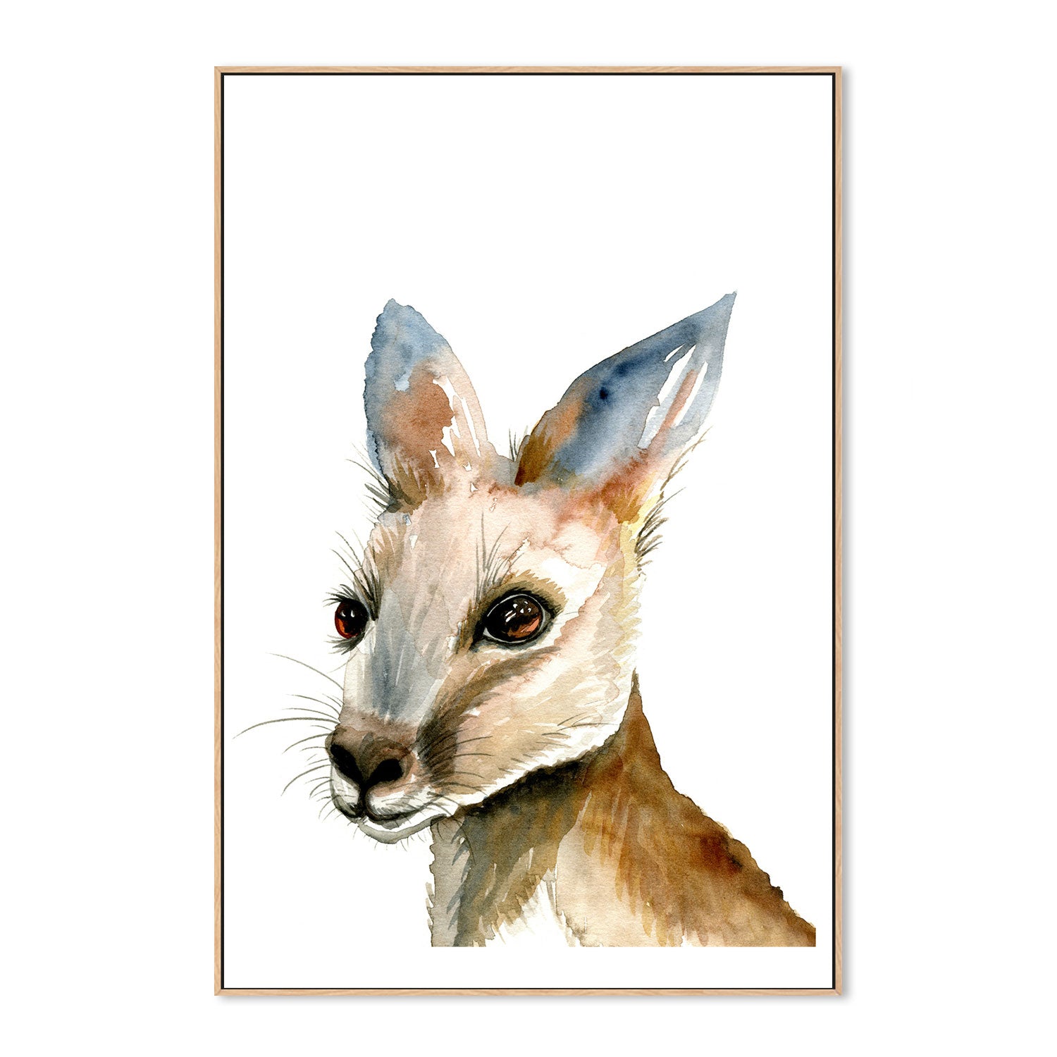 wall-art-print-canvas-poster-framed-Kangaroo , By Jessie Mitchelson-GIOIA-WALL-ART