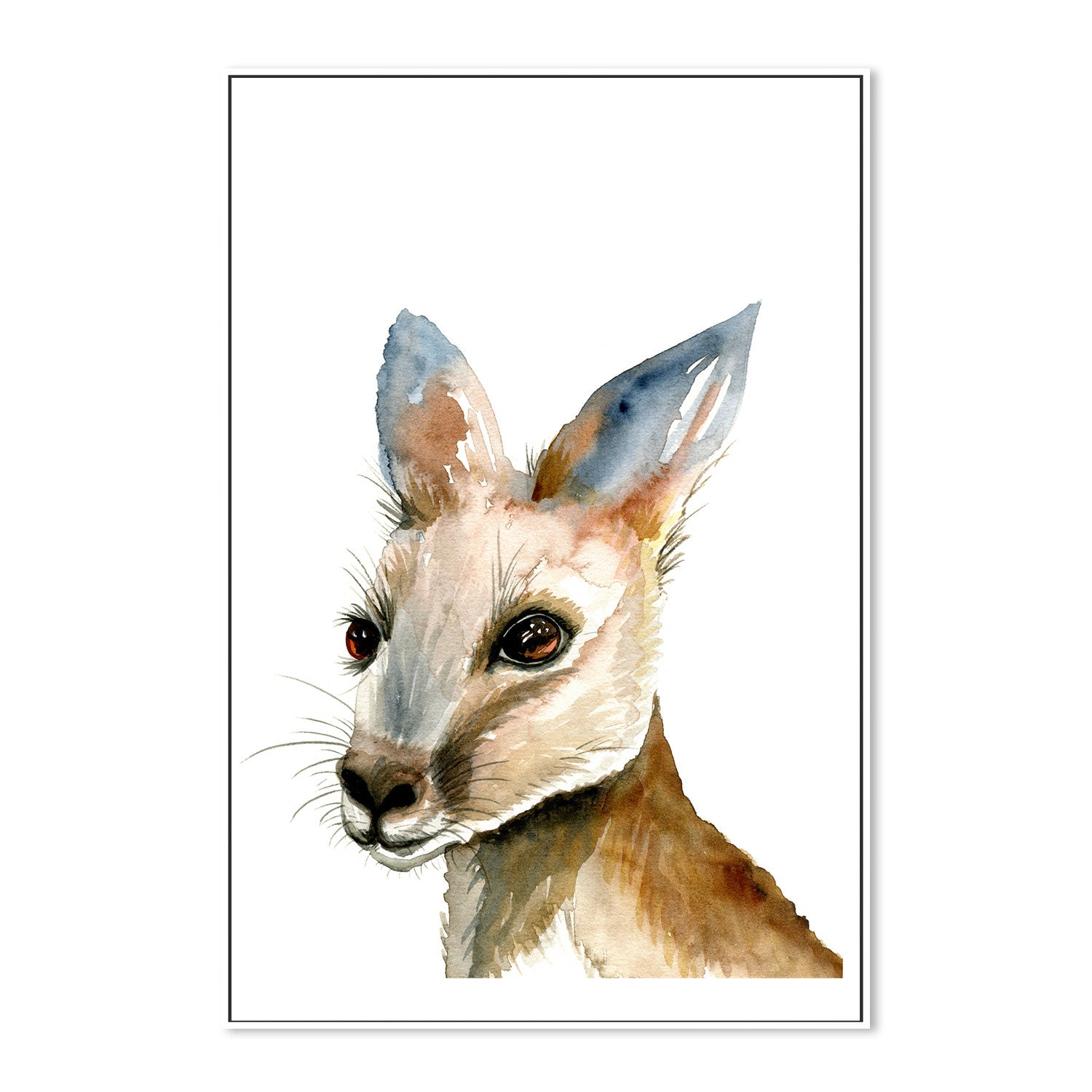 wall-art-print-canvas-poster-framed-Kangaroo , By Jessie Mitchelson-GIOIA-WALL-ART