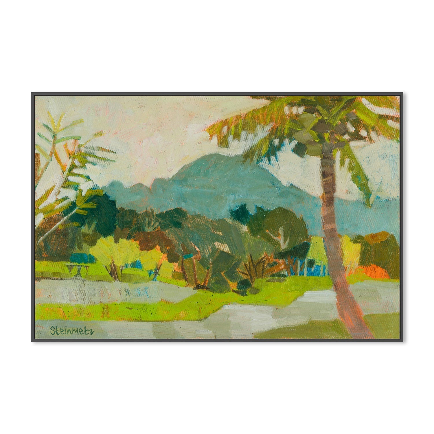 wall-art-print-canvas-poster-framed-Kilohana With Coconuts Kauai , By Liana Steinmetz-3