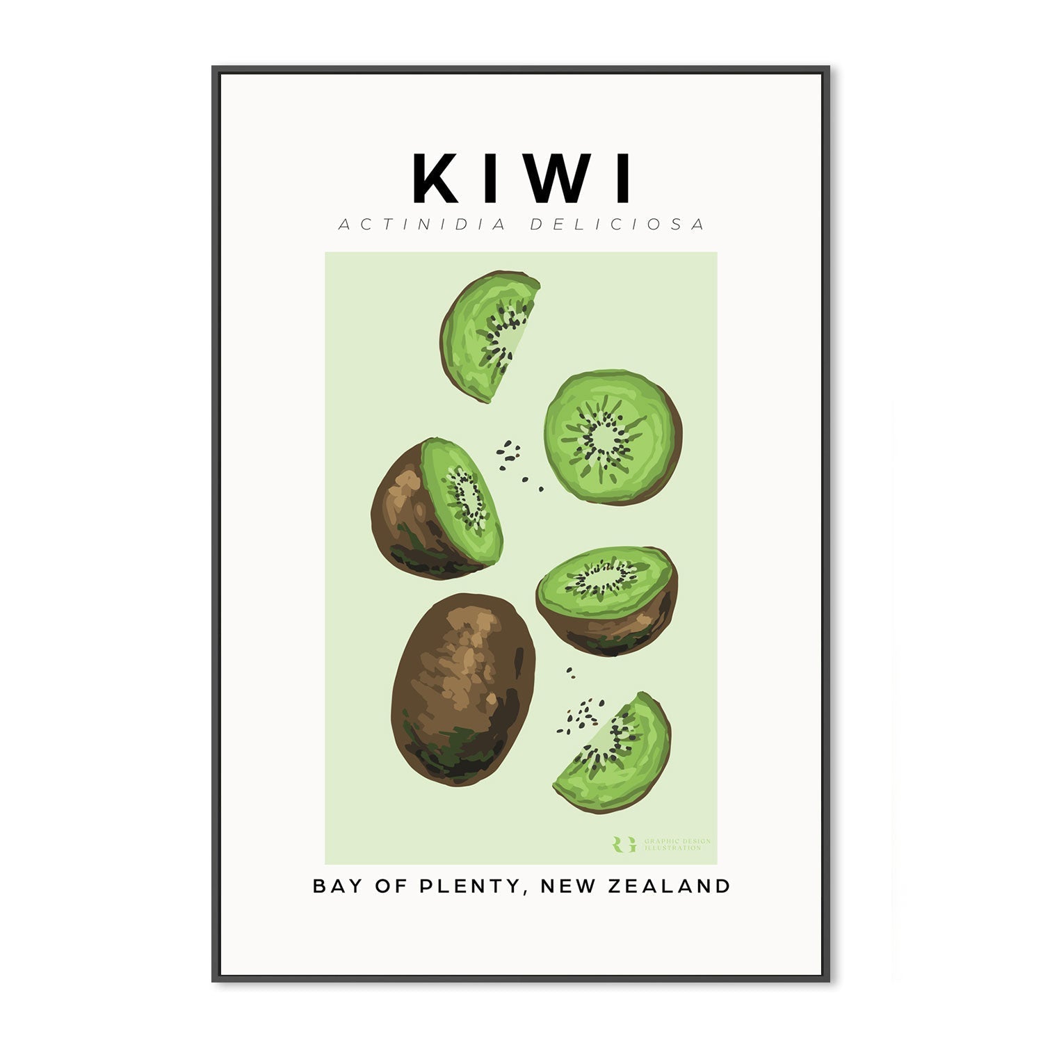 wall-art-print-canvas-poster-framed-Kiwi-by-Rosalyn Gray-Gioia Wall Art