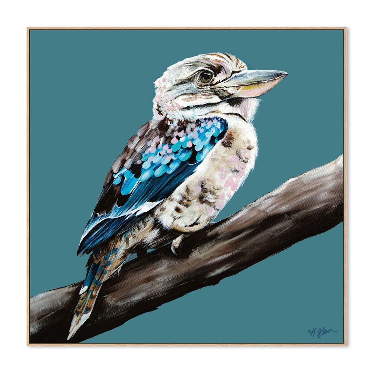 Kookaburra Blue, Style B