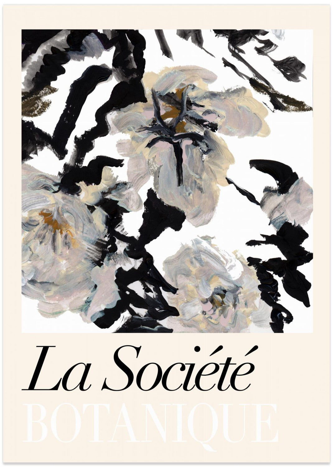 wall-art-print-canvas-poster-framed-La Société Botanique Balck and White and Cream Flowers 2 , By cartissi-1