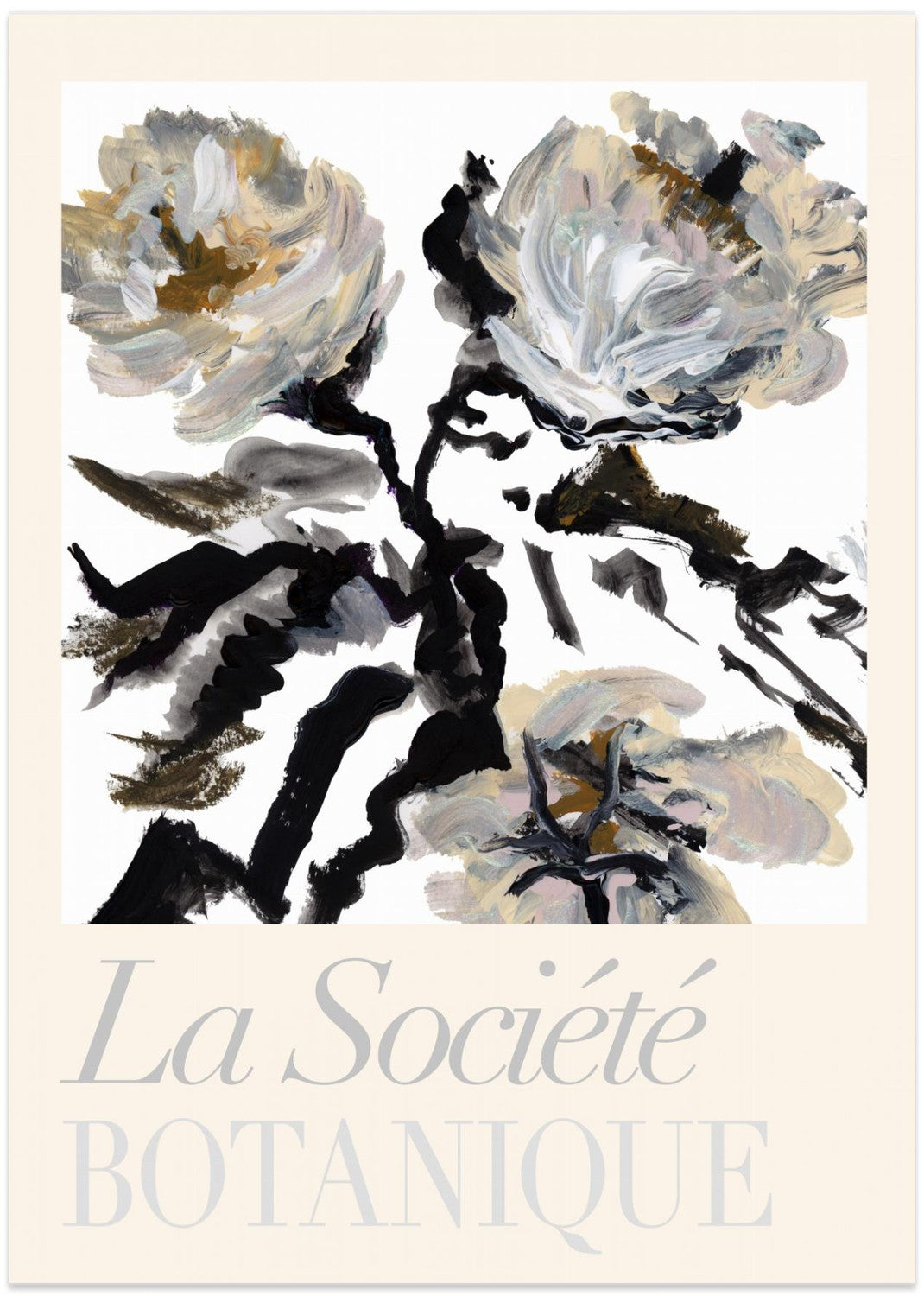 wall-art-print-canvas-poster-framed-La Société Botanique Balck and White and Cream Flowers , By cartissi-1