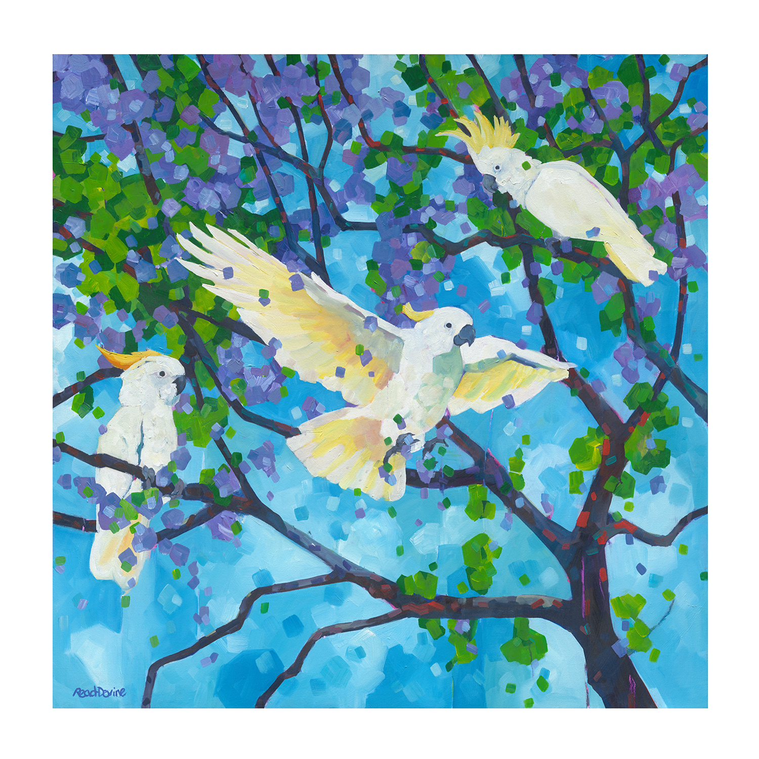 wall-art-print-canvas-poster-framed-Larrikins , By Mellissa Read-Devine , By Mellissa Read-Devine-1