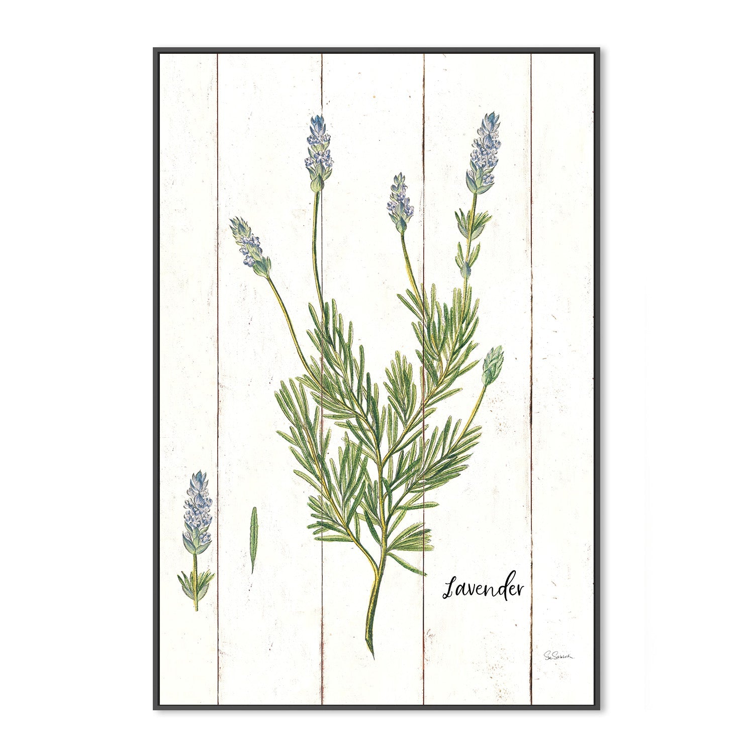 wall-art-print-canvas-poster-framed-Lavender Cottage Herbs, Style A , By Sue Schlabach-3