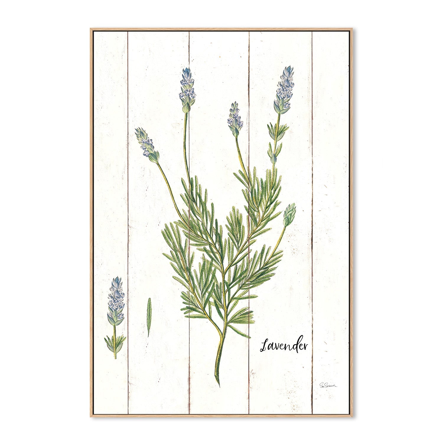 wall-art-print-canvas-poster-framed-Lavender Cottage Herbs, Style A , By Sue Schlabach-4