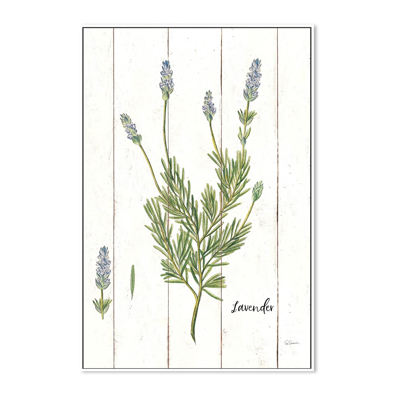 wall-art-print-canvas-poster-framed-Lavender Cottage Herbs, Style A , By Sue Schlabach-5