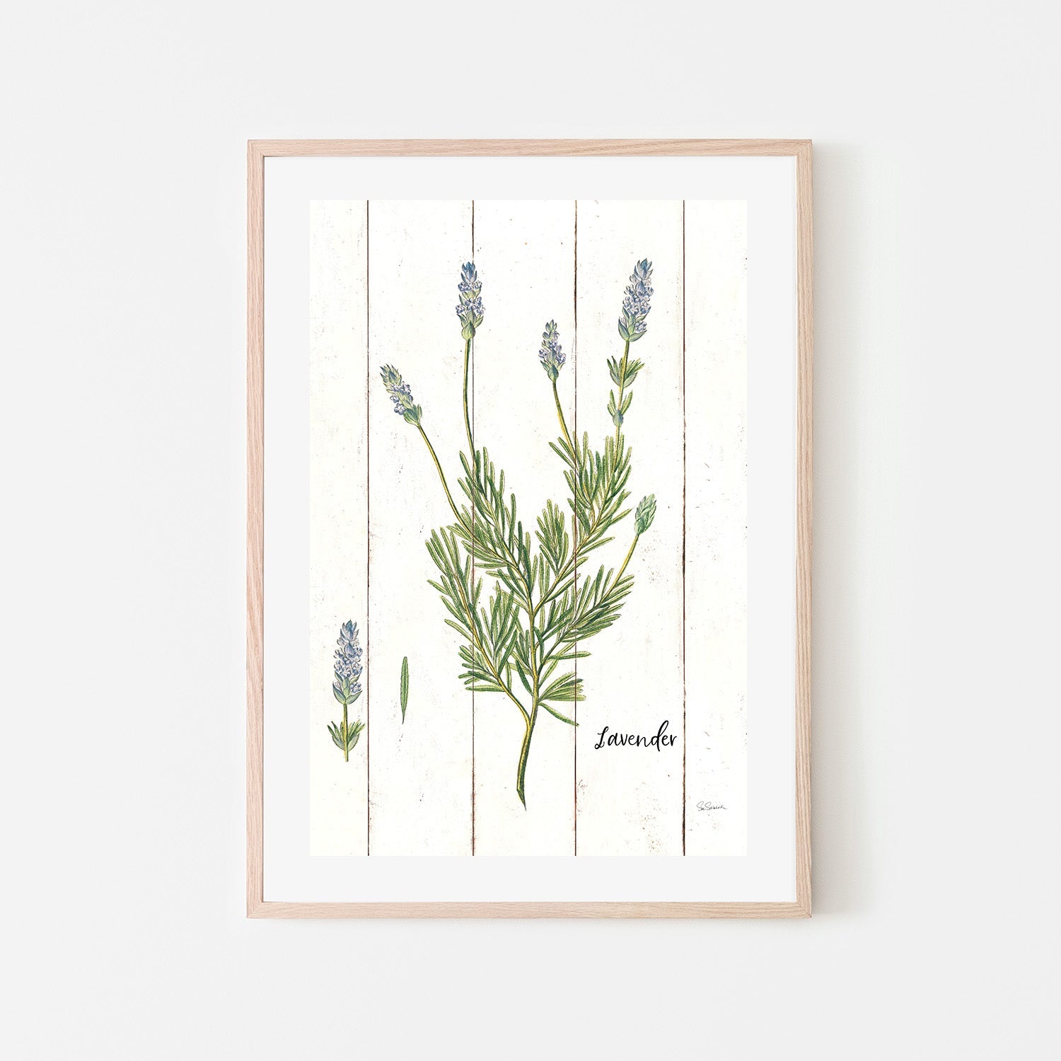 wall-art-print-canvas-poster-framed-Lavender Cottage Herbs, Style A , By Sue Schlabach-6