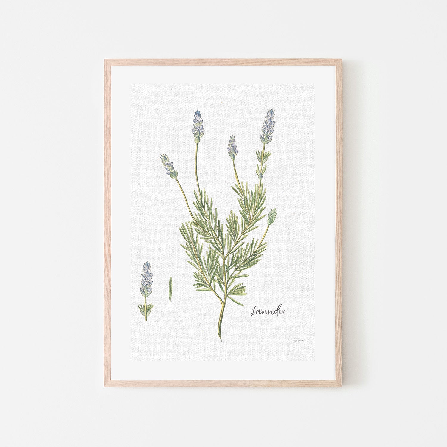 wall-art-print-canvas-poster-framed-Lavender Cottage Herbs, Style B , By Sue Schlabach-6