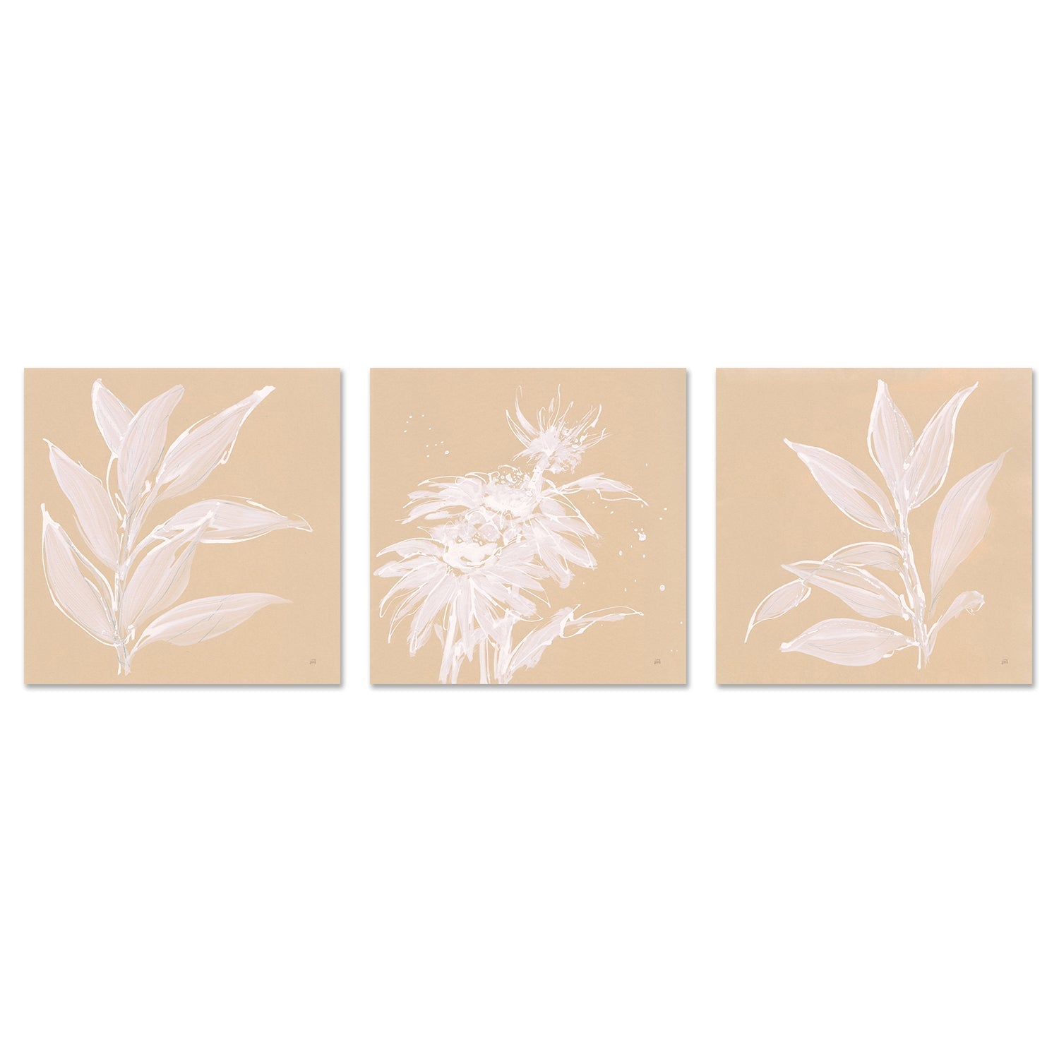 wall-art-print-canvas-poster-framed-Leaf Study, Set of 3-by-Chris Paschke-Gioia Wall Art