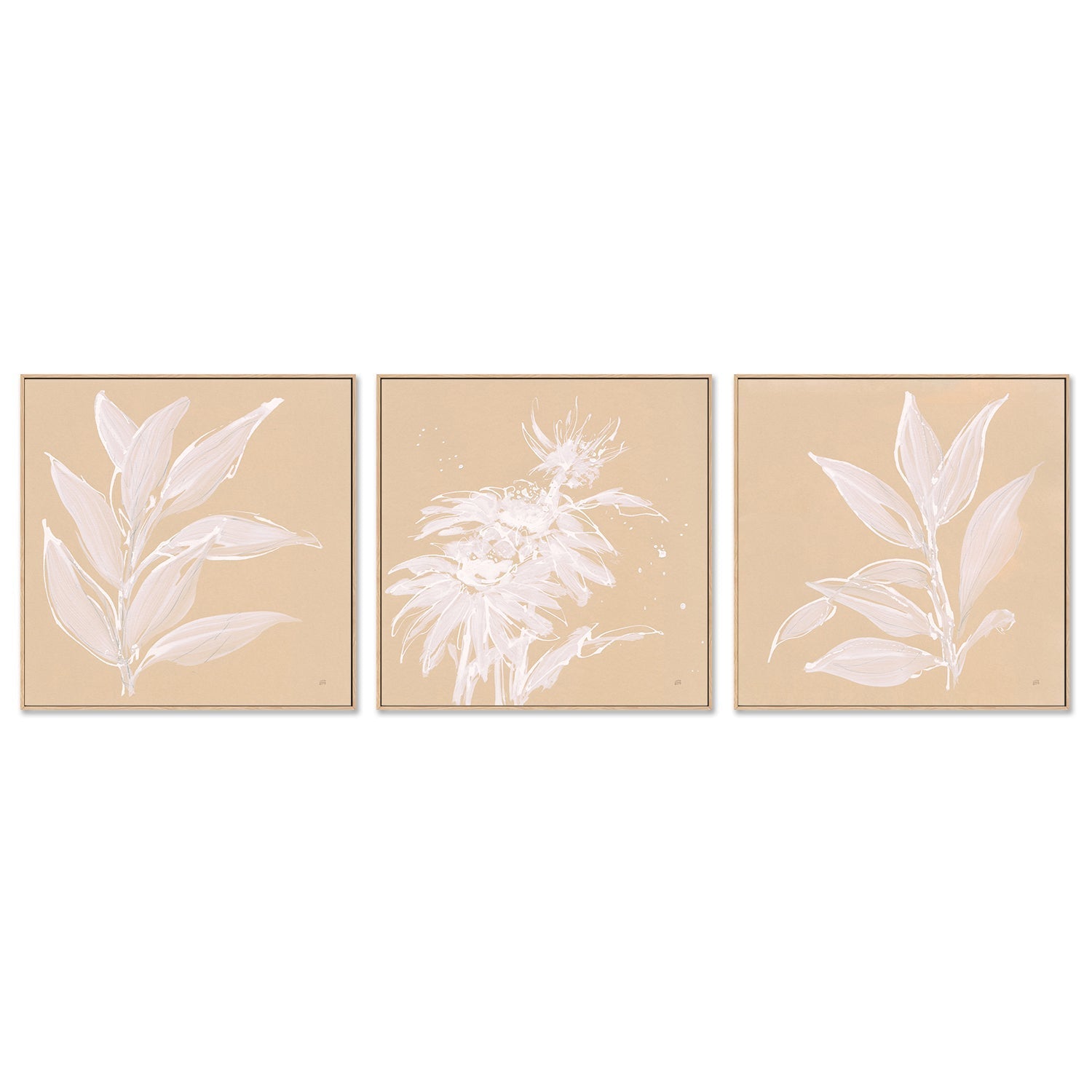 wall-art-print-canvas-poster-framed-Leaf Study, Set of 3-by-Chris Paschke-Gioia Wall Art