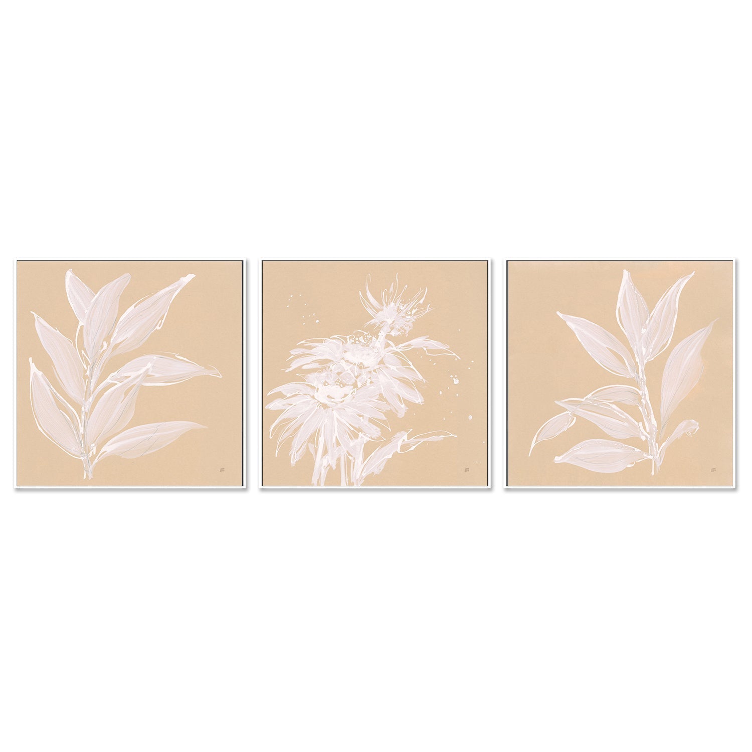 wall-art-print-canvas-poster-framed-Leaf Study, Set of 3-by-Chris Paschke-Gioia Wall Art