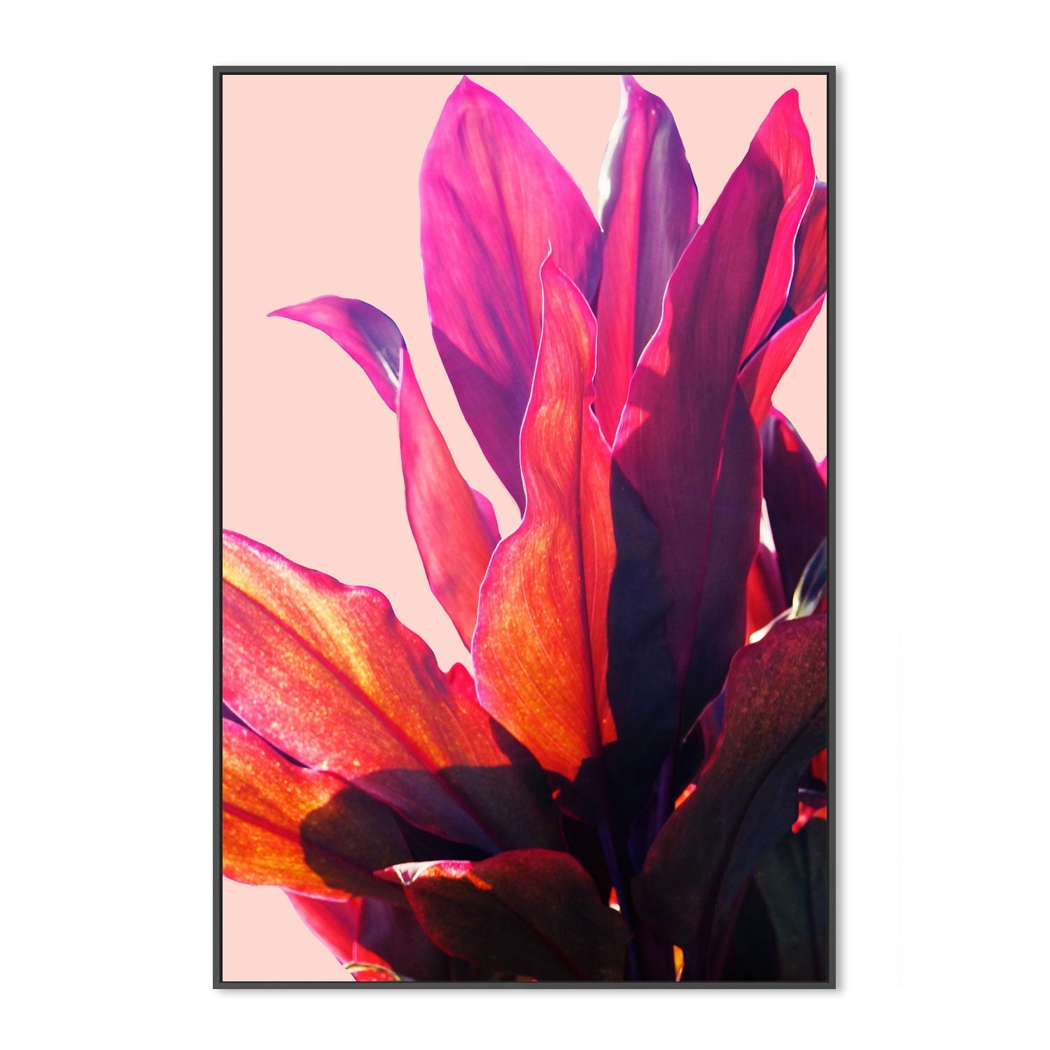 wall-art-print-canvas-poster-framed-Leaves, Style B , By Hope Bainbridge-3