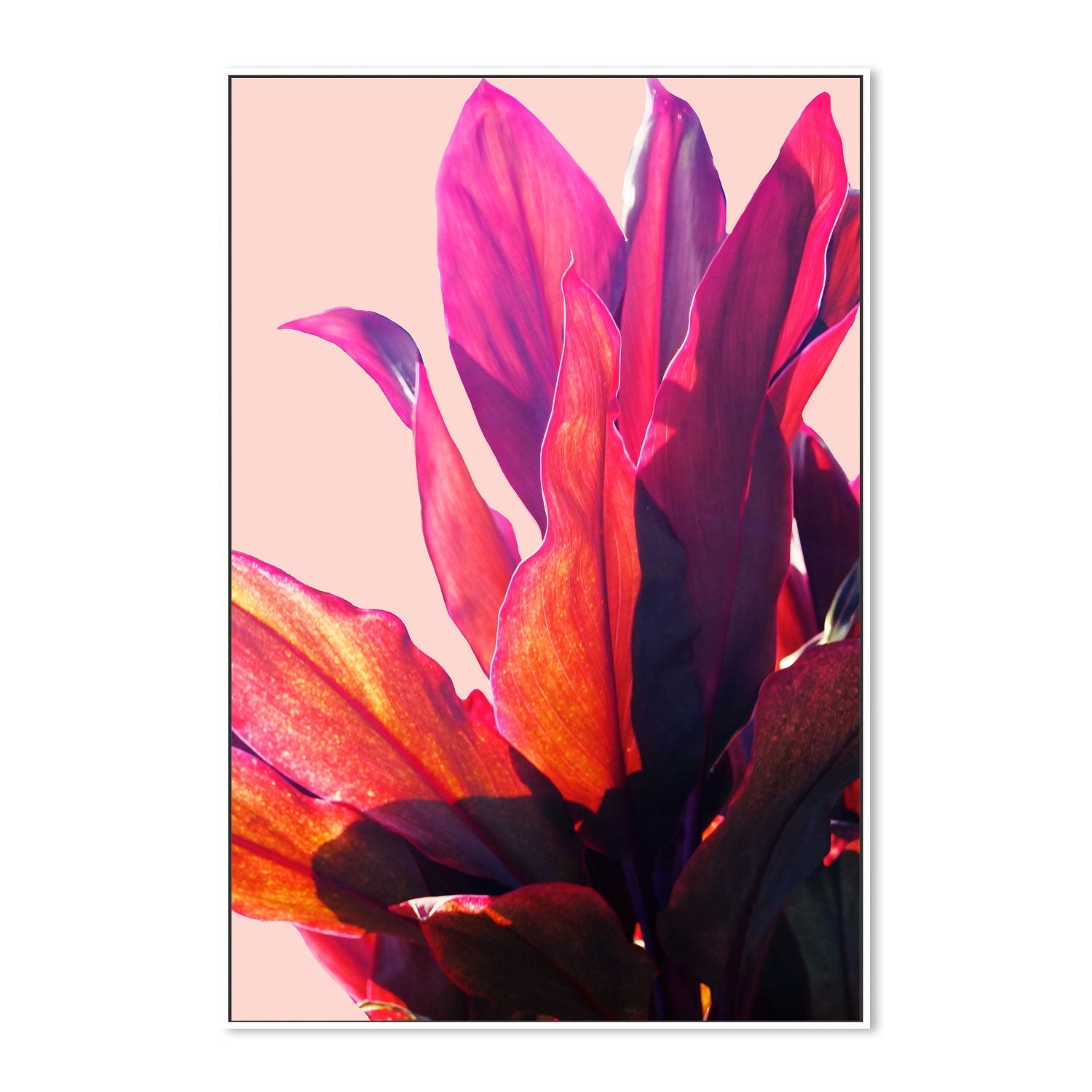 wall-art-print-canvas-poster-framed-Leaves, Style B , By Hope Bainbridge-5
