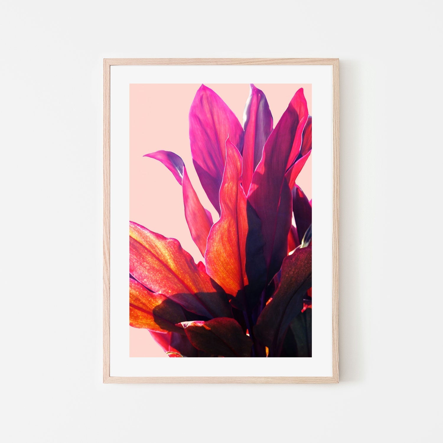 wall-art-print-canvas-poster-framed-Leaves, Style B , By Hope Bainbridge-6