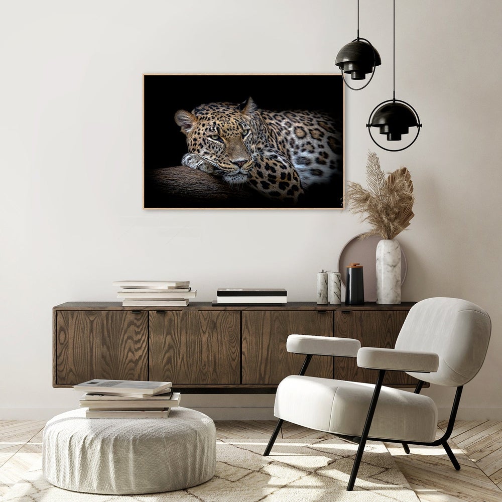 wall-art-print-canvas-poster-framed-Leopard Resting, By Nauzet Báez Photography-by-Plus X Studio-Gioia Wall Art