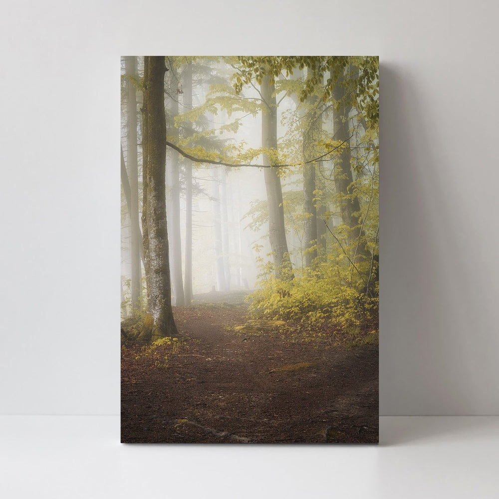 wall-art-print-canvas-poster-framed-Let'S Go For A Walk, By Norbert Maier-by-Plus X Studio-Gioia Wall Art