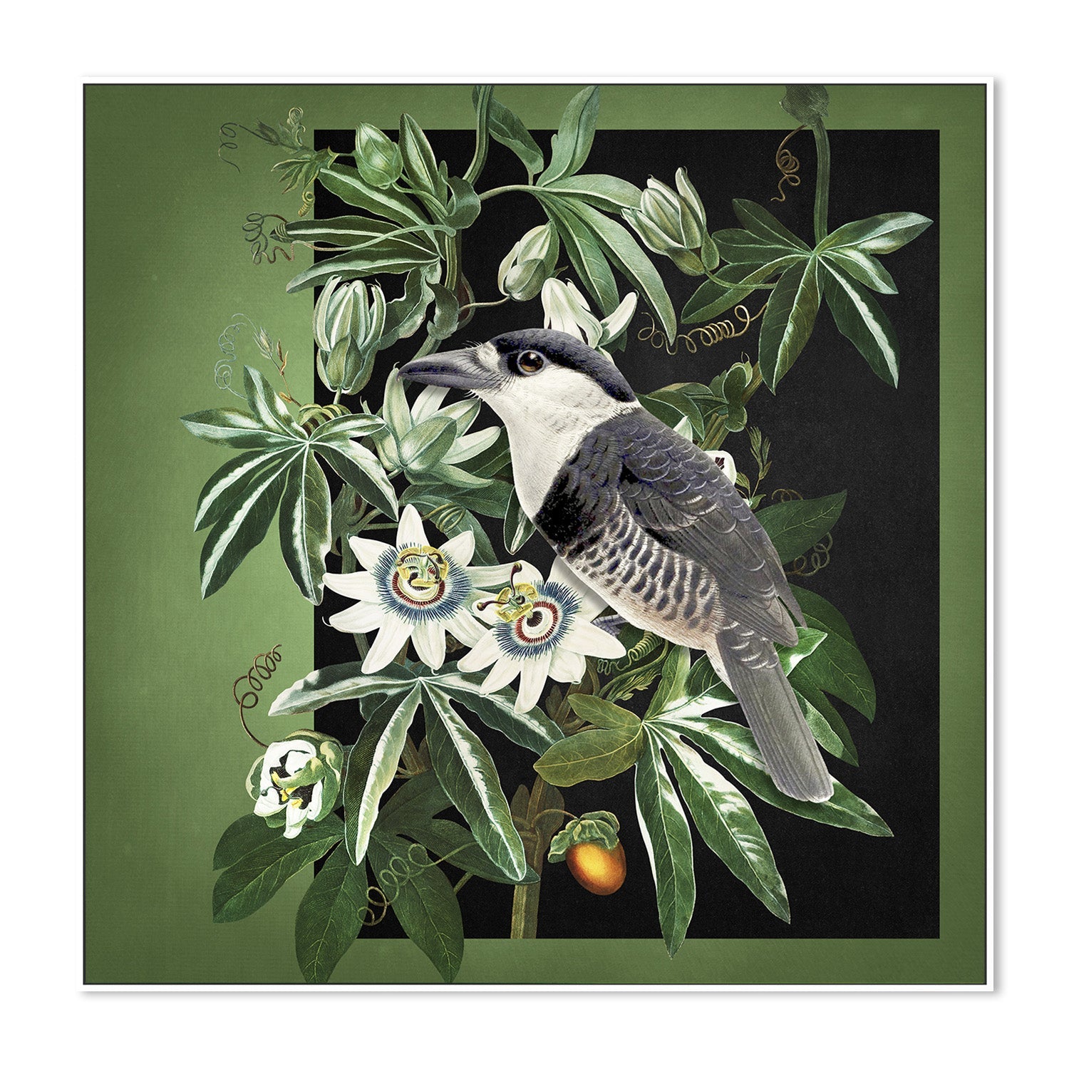 wall-art-print-canvas-poster-framed-Loiseau Et La Passiflore-5