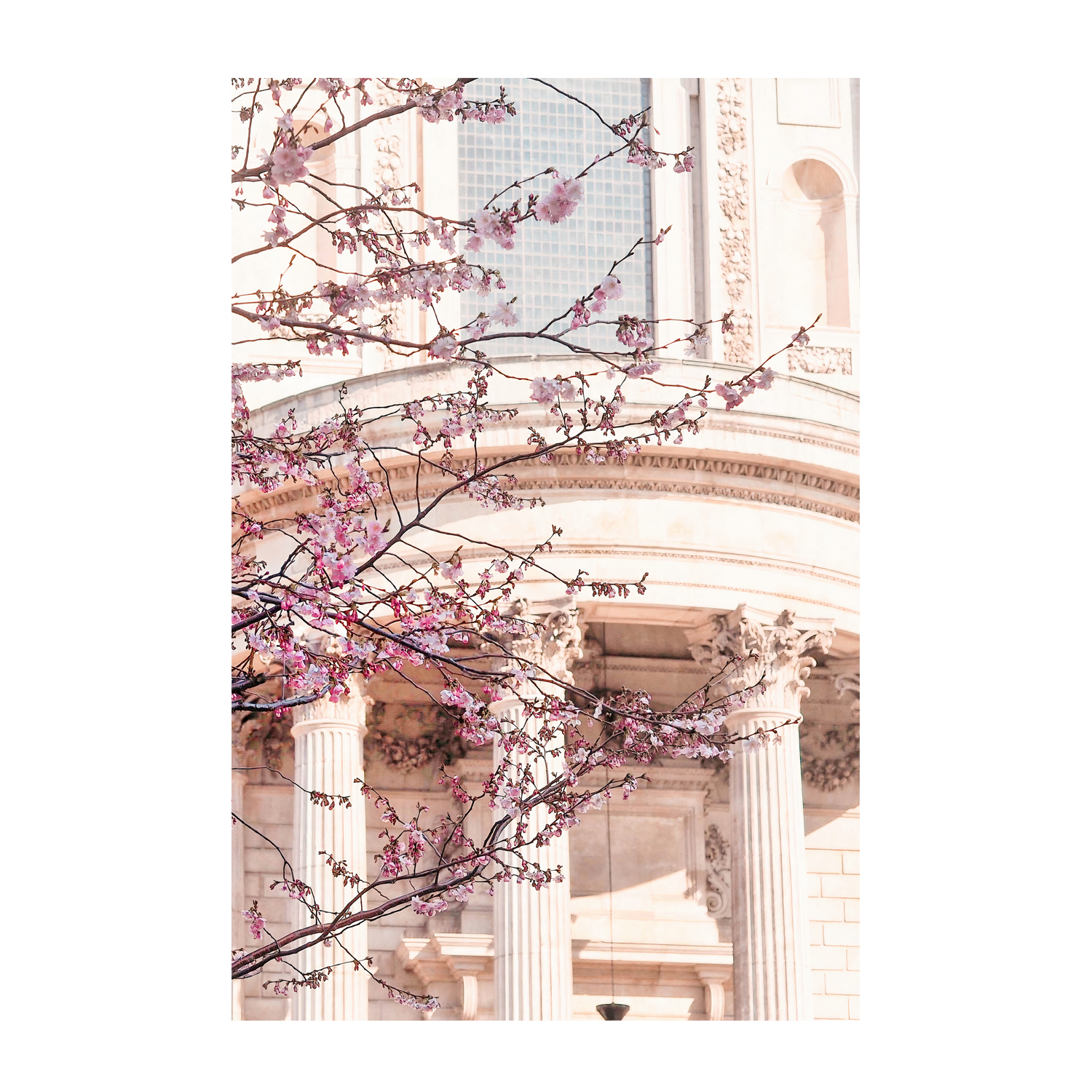 wall-art-print-canvas-poster-framed-London Blossom , By Pictufy-1