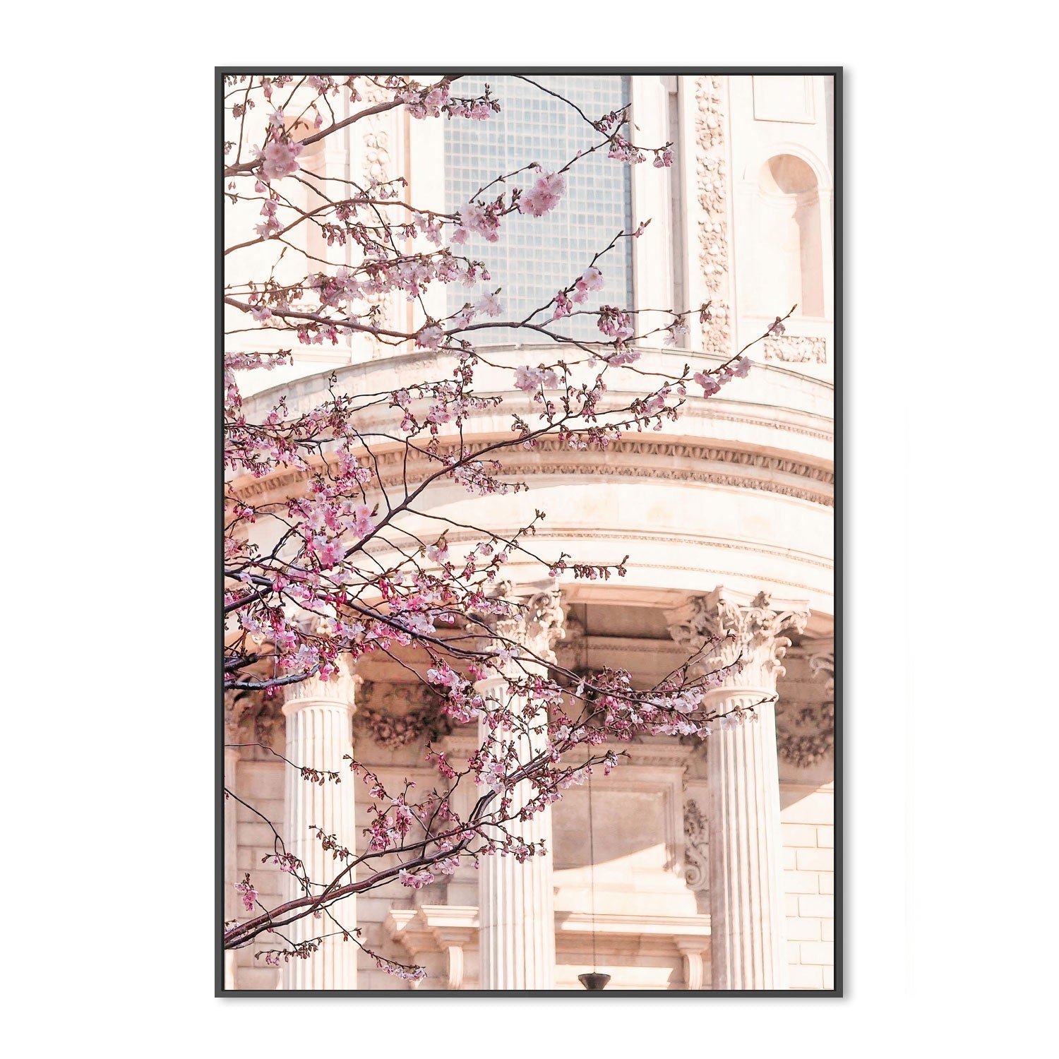 wall-art-print-canvas-poster-framed-London Blossom , By Pictufy-3