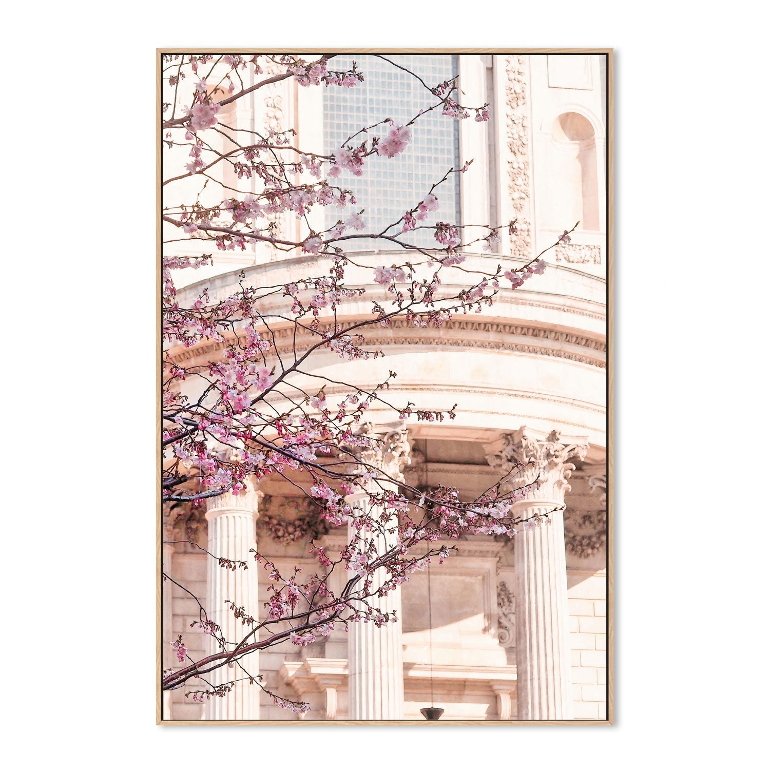 wall-art-print-canvas-poster-framed-London Blossom , By Pictufy-4