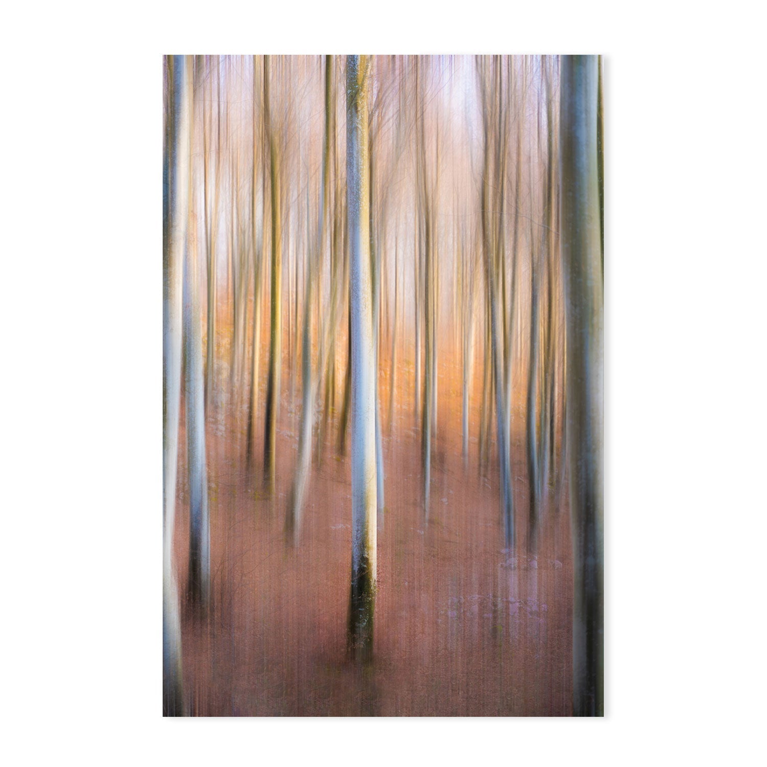 wall-art-print-canvas-poster-framed-Magic Woodland, by Riccardo Zanin-by-Plus X Studio-Gioia Wall Art