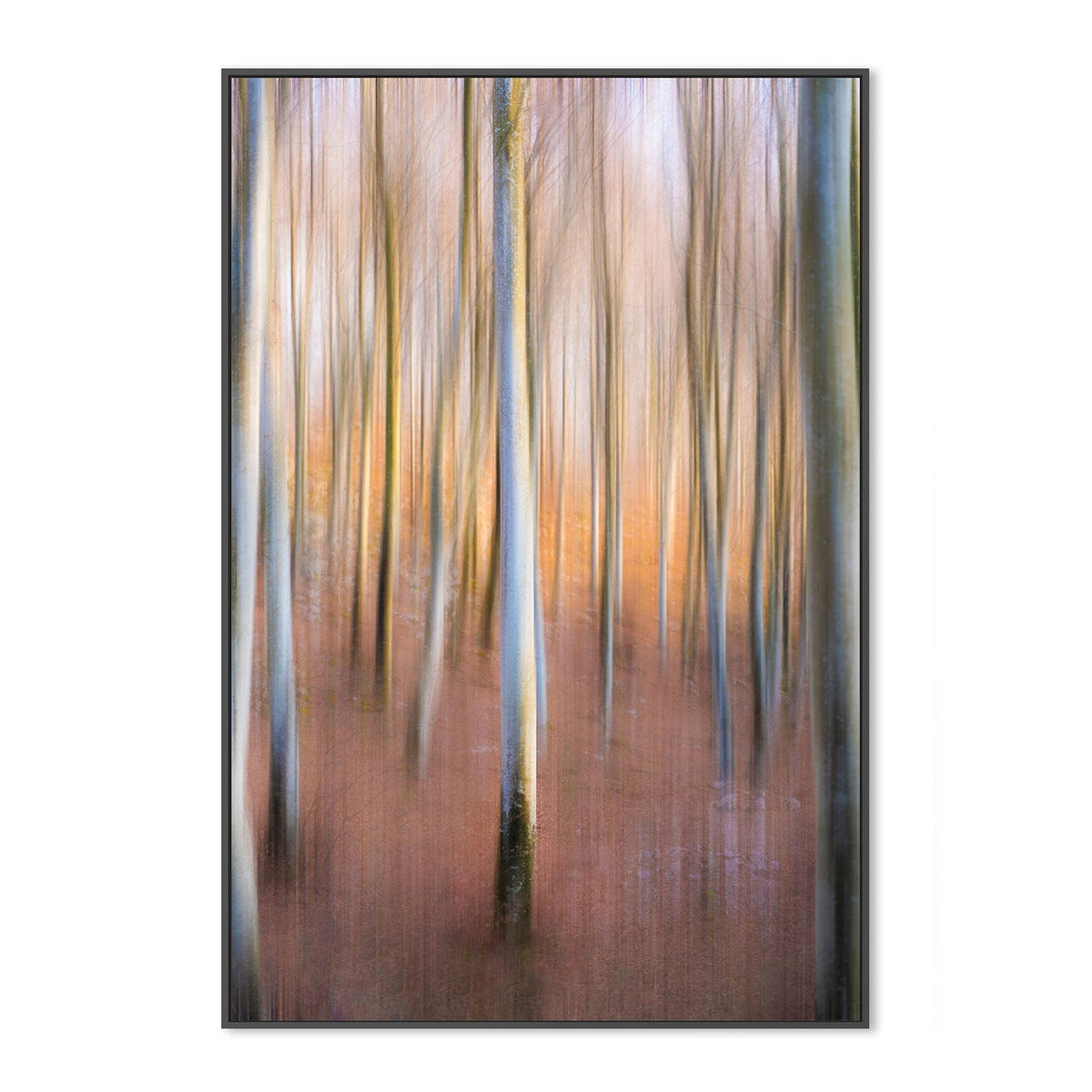 wall-art-print-canvas-poster-framed-Magic Woodland, by Riccardo Zanin-by-Plus X Studio-Gioia Wall Art