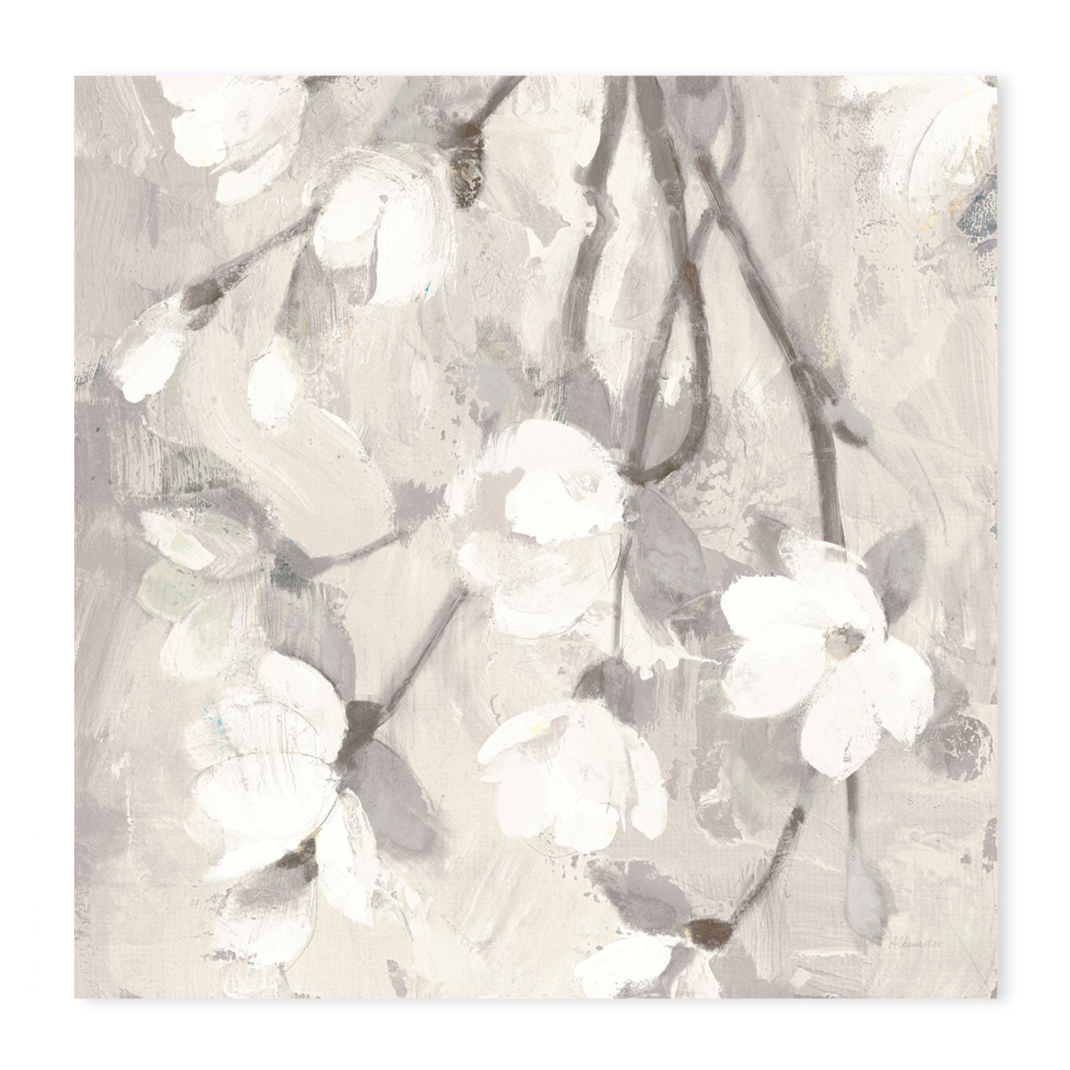 wall-art-print-canvas-poster-framed-Magnolia Branch , By Albena Hristova-GIOIA-WALL-ART