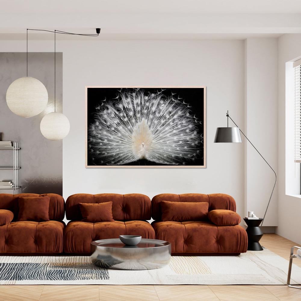 wall-art-print-canvas-poster-framed-Majestic White Peacock-8