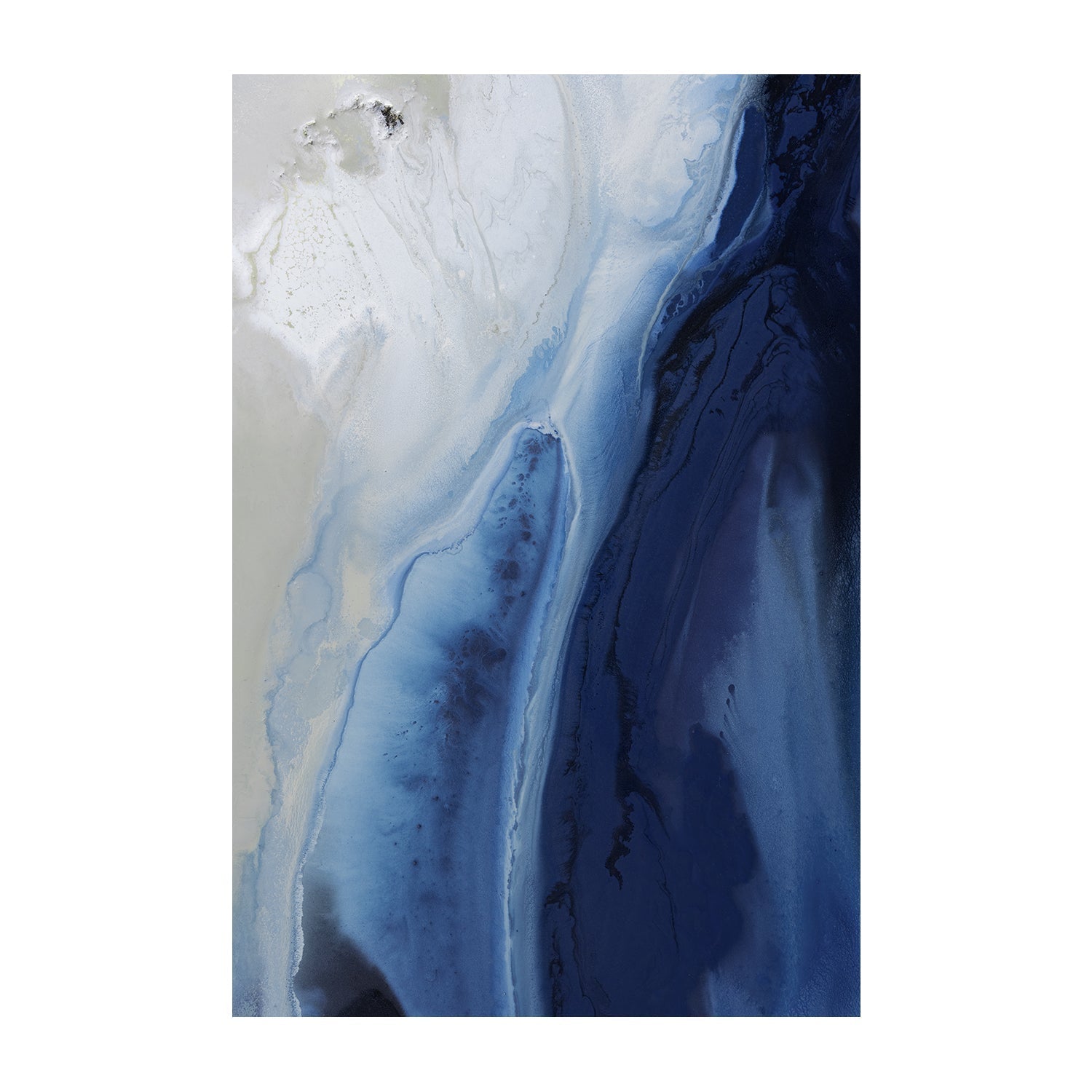 wall-art-print-canvas-poster-framed-Marine Majesty, Style A & B, Set of 2, By Petra Meikle , By Petra Meikle-4